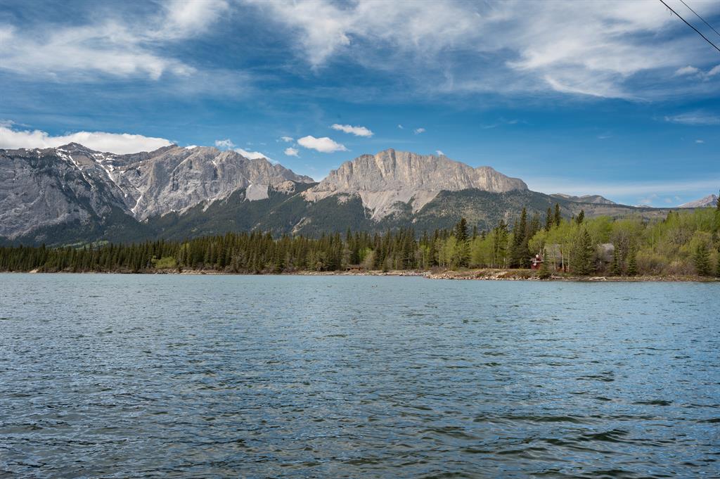 25 Bagley Pass  , A2306451, Alberta,