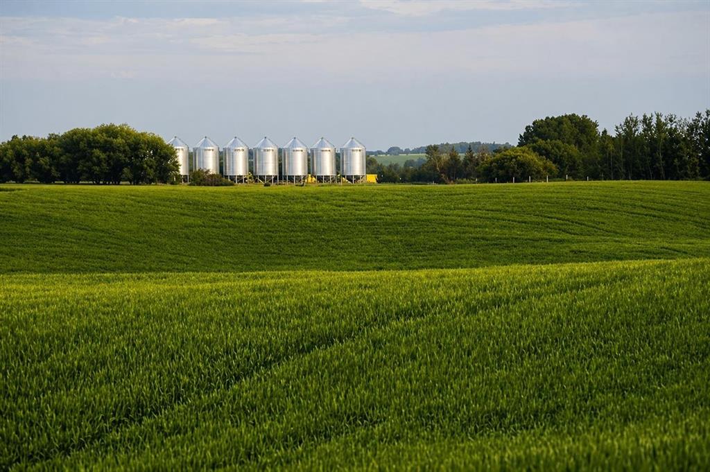 1,085 Acres  , A2306745, Alberta,