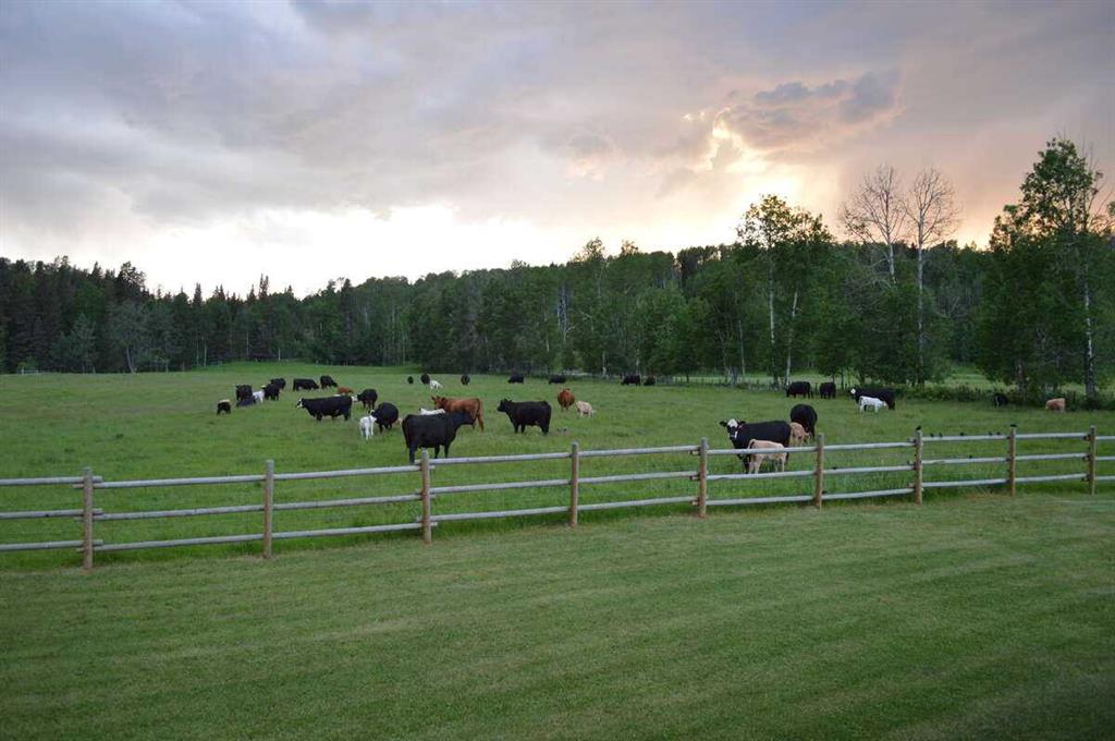 Third View of 62076 James River Road , NONE, Rural Clearwater County, Alberta, T0M 1X0