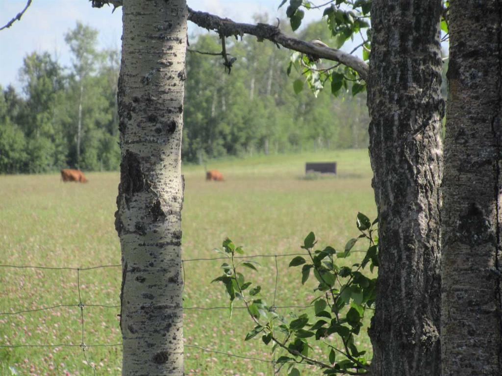  Bingley Road  , A2307520, Alberta,