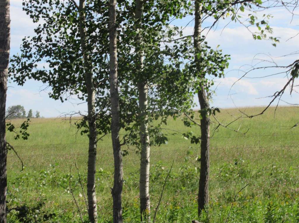 Third View of  Bingley Road  , NONE, Rural Clearwater County, Alberta, T4T 1A9