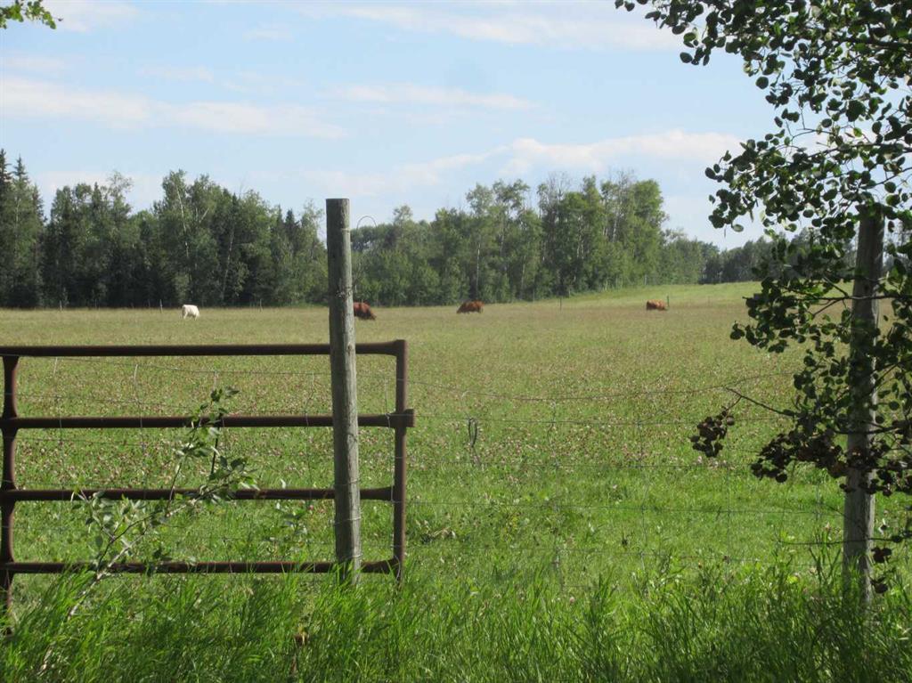 Fourth View of  Bingley Road  , NONE, Rural Clearwater County, Alberta, T4T 1A9