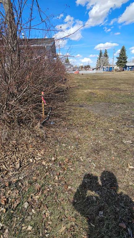 Fifth View of 4946 PARKVIEW Crescent , NONE, Castor, Alberta, T0C 0X0