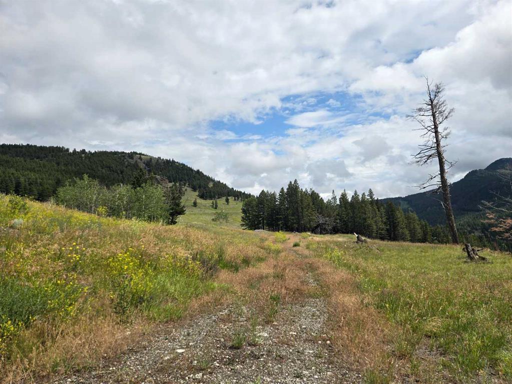 Second View of #4, 5302 19th Avenue , NONE, Coleman, Alberta, T0K0M0
