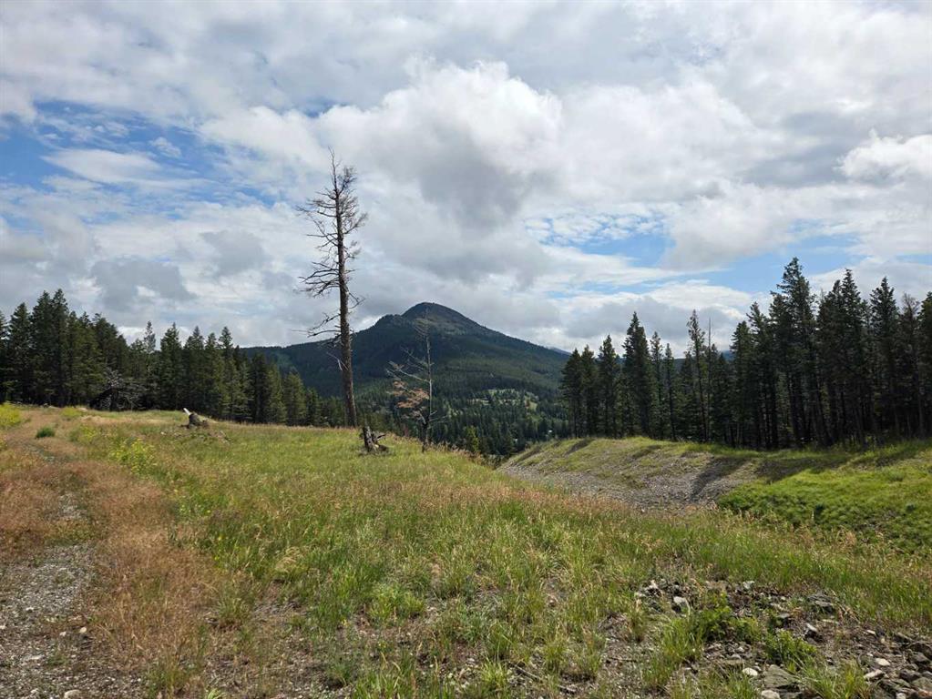Fourth View of #4, 5302 19th Avenue , NONE, Coleman, Alberta, T0K0M0