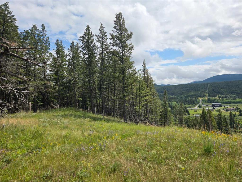 Fifth View of #4, 5302 19th Avenue , NONE, Coleman, Alberta, T0K0M0