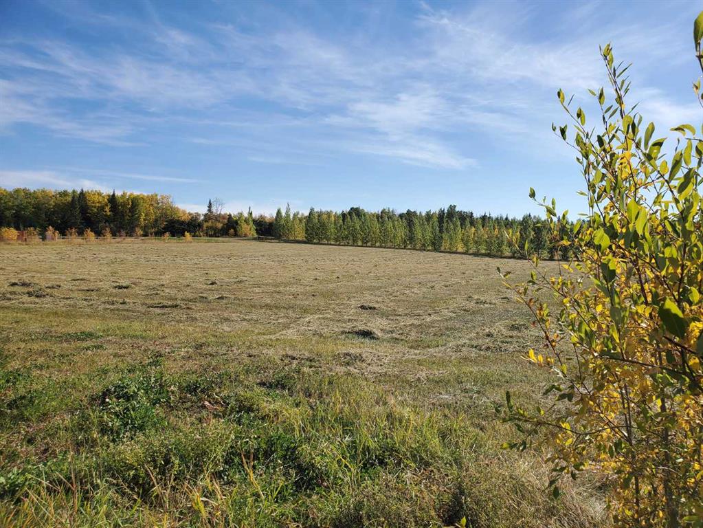 Fourth View of 105, 68164 Campsite Road  , NONE, Plamondon, Alberta, T0A 2T0