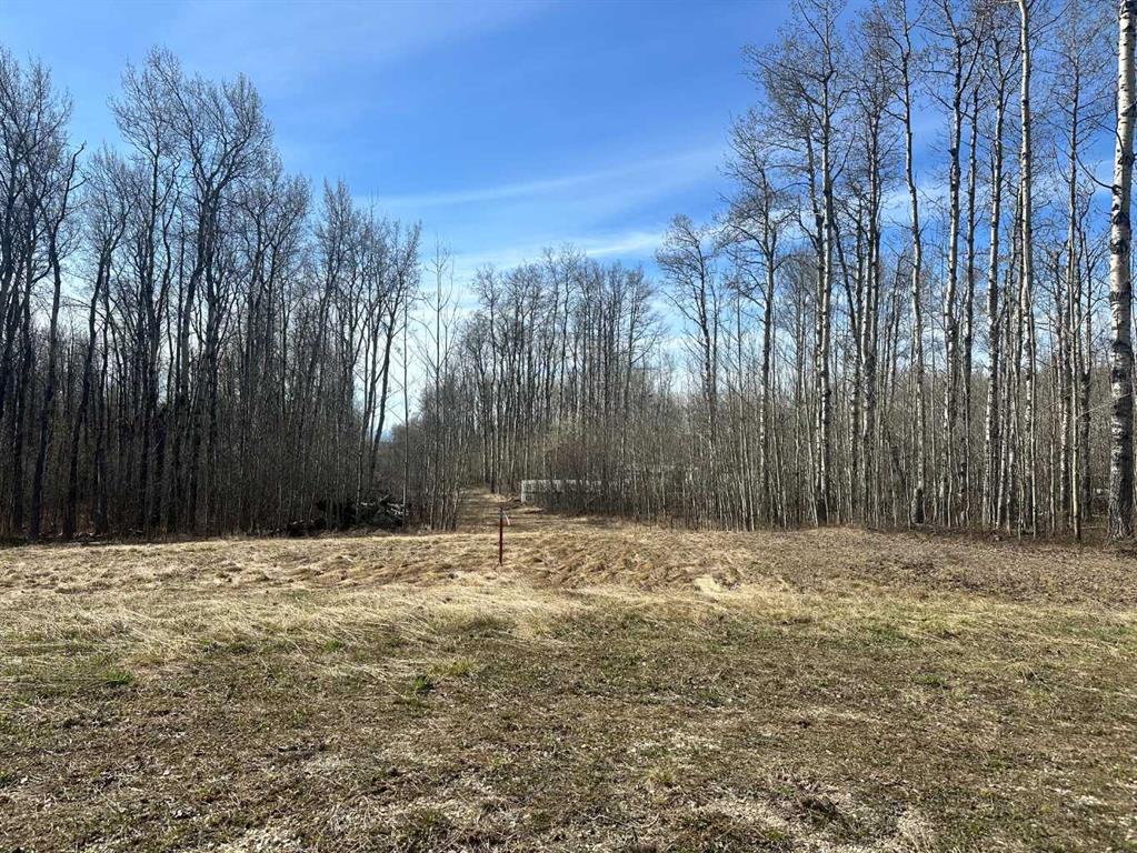 Fourth View of 90058b twp 720  , NONE, Wembley, Alberta, T0H 3S0