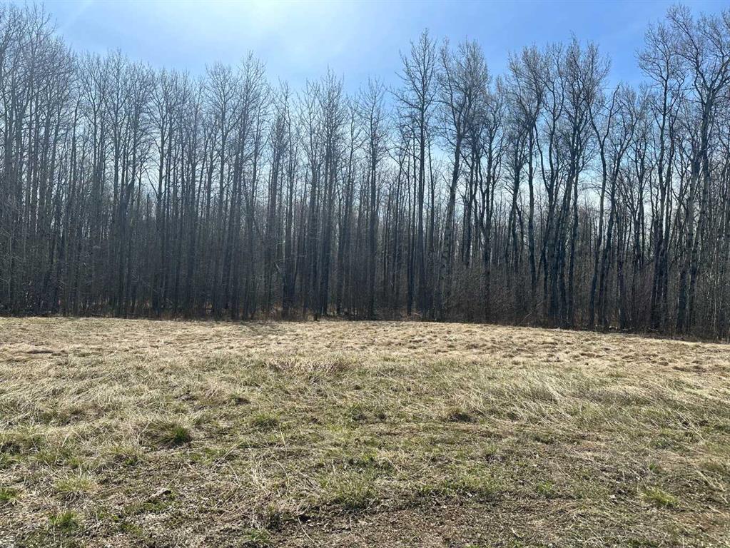 Fifth View of 90058b twp 720  , NONE, Wembley, Alberta, T0H 3S0