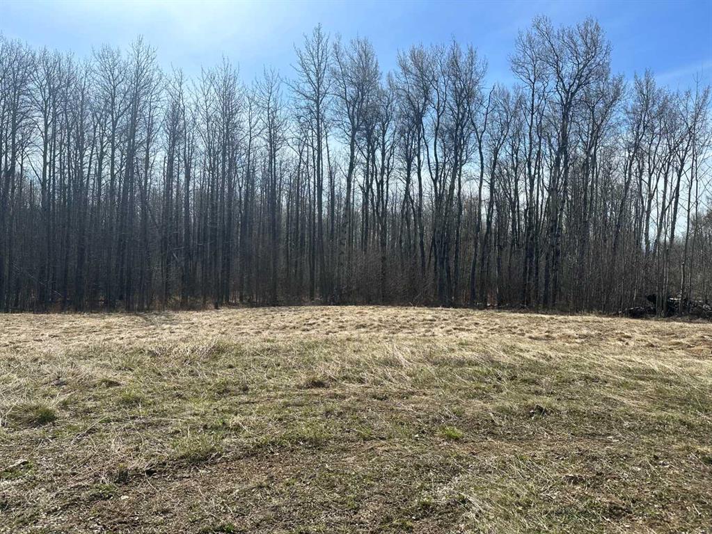 Third View of 90058b twp 720  , NONE, Wembley, Alberta, T0H 3S0