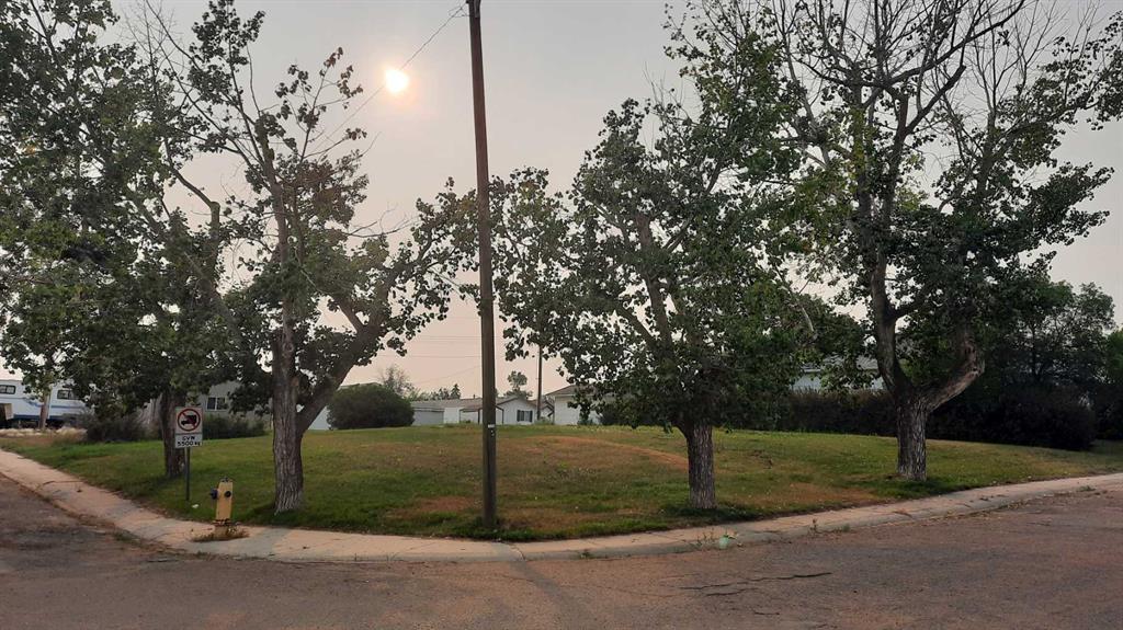 114 Railway Avenue S, A2308371, Alberta,