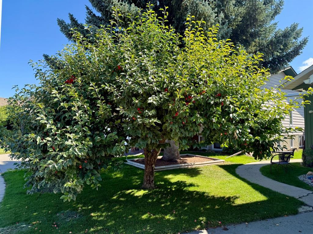 Fifth View of 807 8 Avenue SE, Emerson Lake Estates, High River, Alberta, T1V 1K9