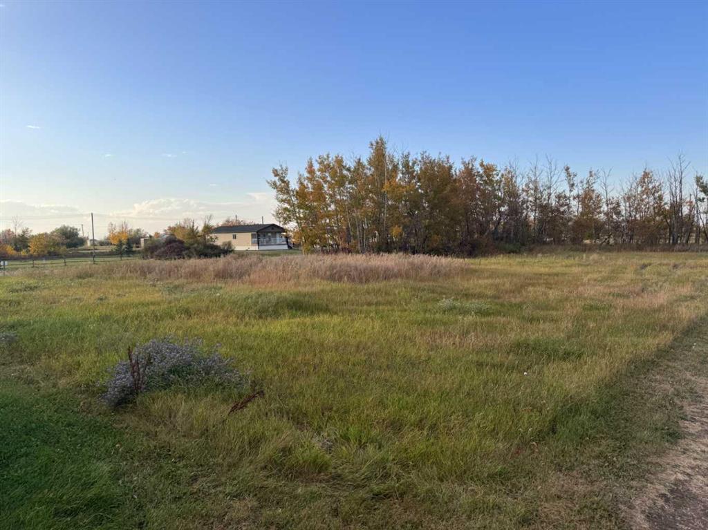 Fourth View of 23 3rd Street , NONE, Gadsby, Alberta, T0C 1K0