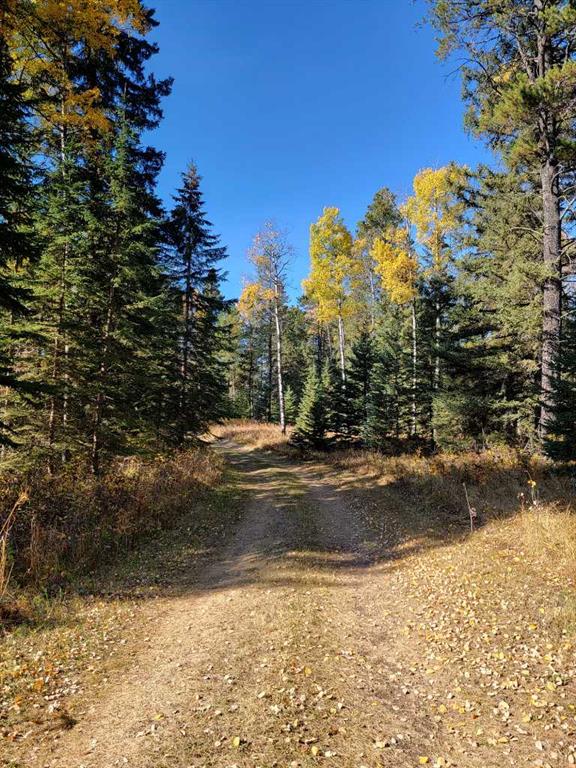 Fifth View of 36057 Range Road 43  , NONE, Rural Red Deer County, Alberta, T4G 0L5