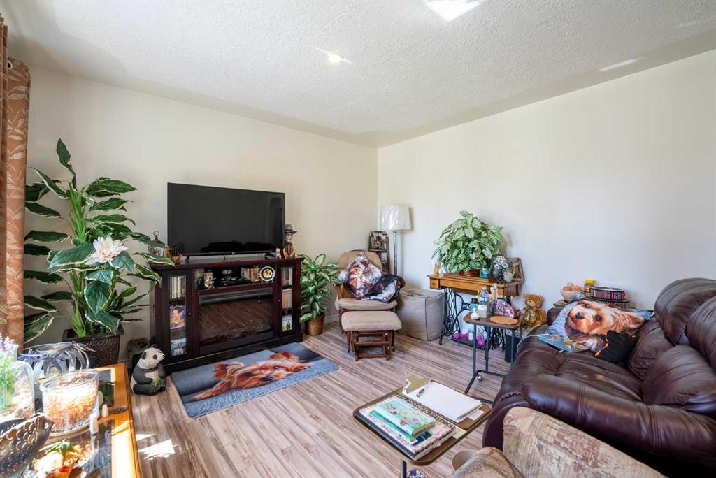 Fourth View of 734 4 Street S, London Road, Lethbridge, Alberta, T1J 2B1