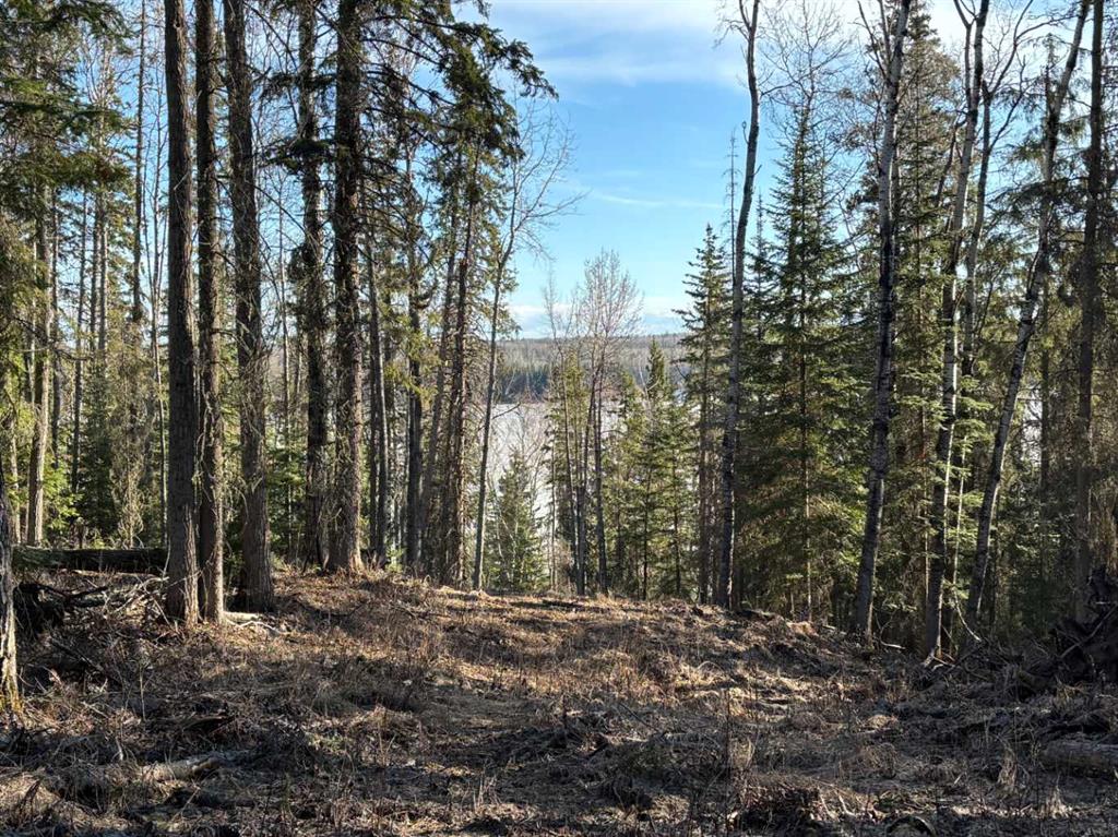 Fourth View of 17 Stirling Lane , NONE, Rural Lesser Slave River No. 124, M.D. of, Alberta, T0G 2A0