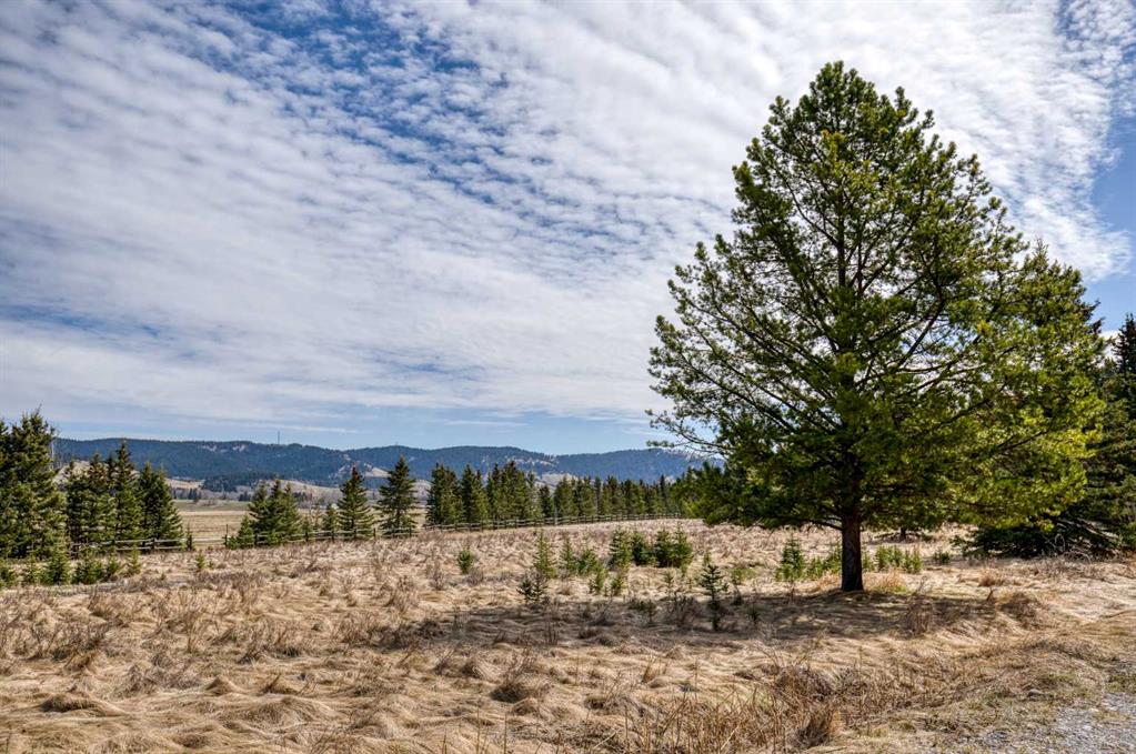 Fourth View of 33.53 acres Highway 40  , NONE, Rural Bighorn No. 8, M.D. of, Alberta, T4C1B7