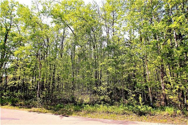 Third View of 689 Fox Crescent , NONE, Sunbreaker Cove, Alberta, T0C 0J0