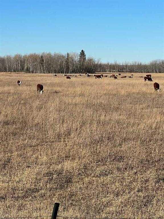Fifth View of SE-32-71-5-W6 .  , NONE, Grande Prairie, Alberta, T8X 0G4