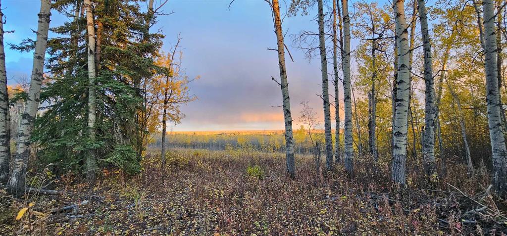 Second View of SE-27-79-9-W6 92 Range Road , NONE, Rural Saddle Hills County, Alberta, T0H 0G0
