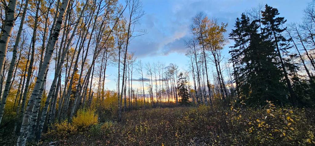 Third View of SE-27-79-9-W6 92 Range Road , NONE, Rural Saddle Hills County, Alberta, T0H 0G0