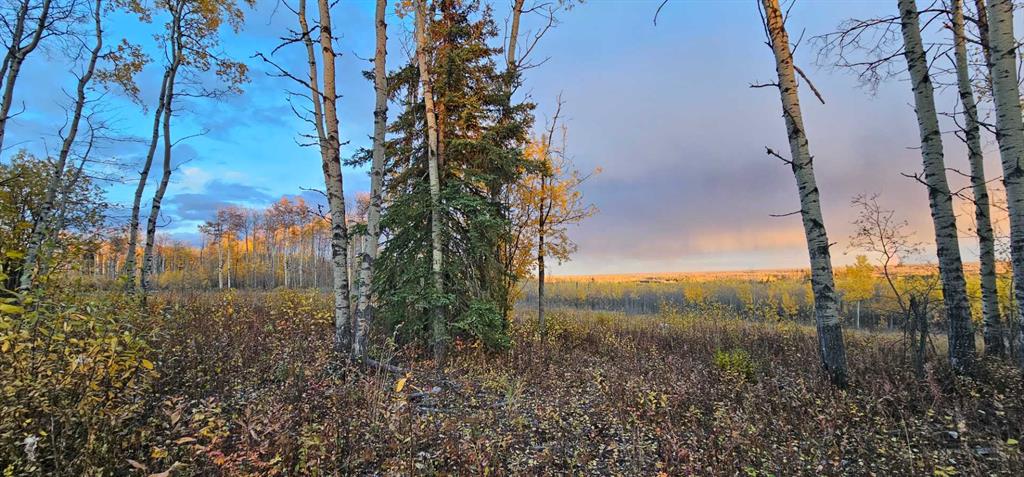 Fourth View of SE-27-79-9-W6 92 Range Road , NONE, Rural Saddle Hills County, Alberta, T0H 0G0
