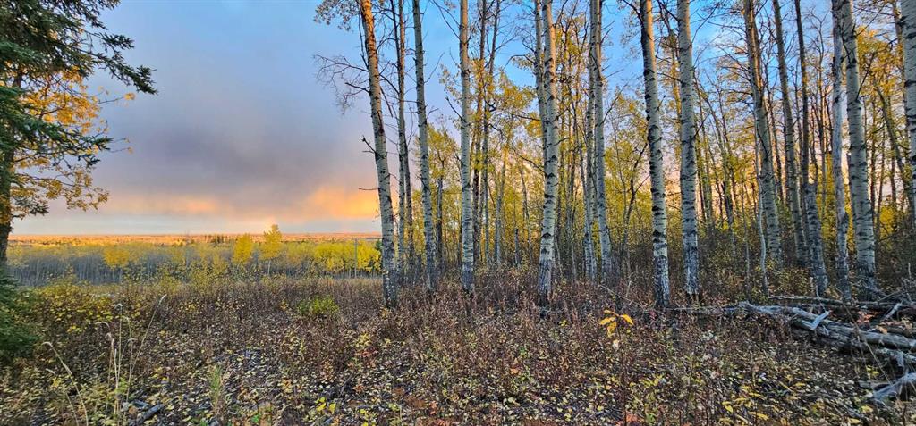 Fifth View of SE-27-79-9-W6 92 Range Road , NONE, Rural Saddle Hills County, Alberta, T0H 0G0