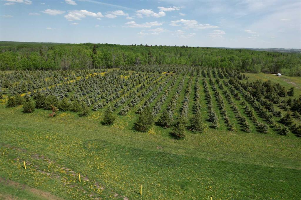 Fifth View of NE22-74-6-W6 62 Range Road , NONE, Rural Grande Prairie No. 1, County of, Alberta, T0H 3C0