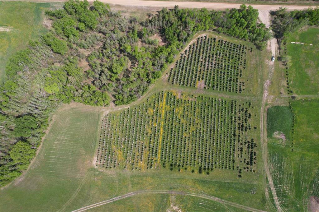 Fourth View of NE22-74-6-W6 Range Road 62  , NONE, Rural Grande Prairie No. 1, County of, Alberta, T0H 3C0