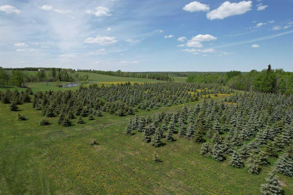 Fifth View of NE22-74-6-W6 Range Road 62  , NONE, Rural Grande Prairie No. 1, County of, Alberta, T0H 3C0