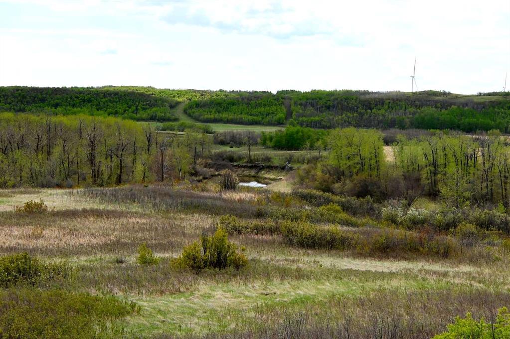14123 Township Road 404  , A2314162, Alberta,