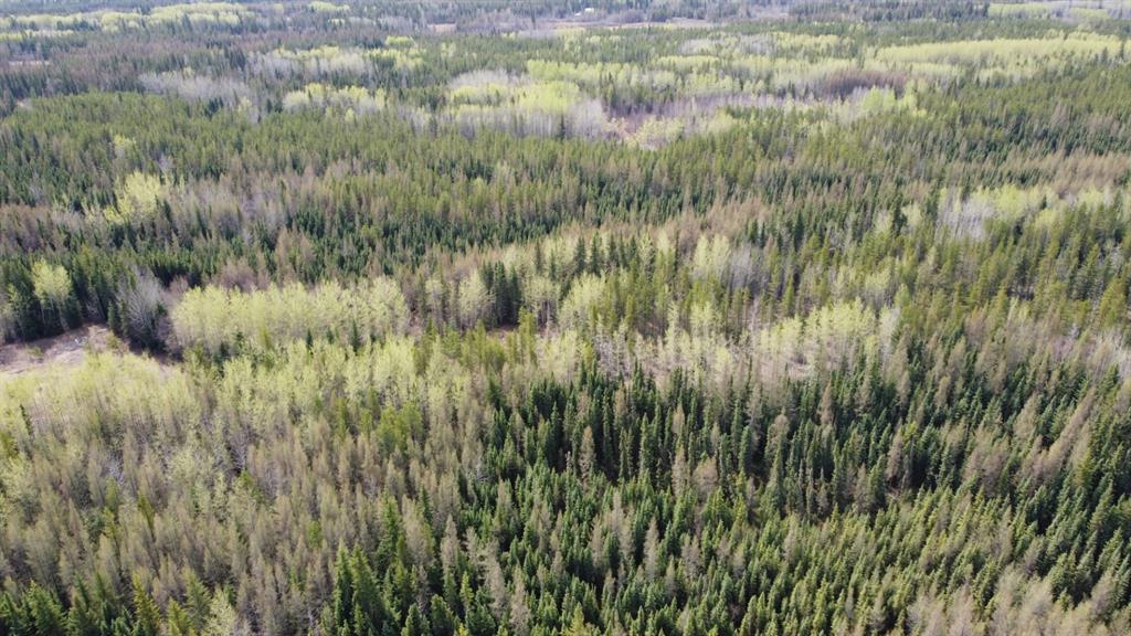 Third View of NW-20-70-6-6 TWP Rd 704  , NONE, Rural Grande Prairie No. 1, County of, Alberta, T8V 4B6