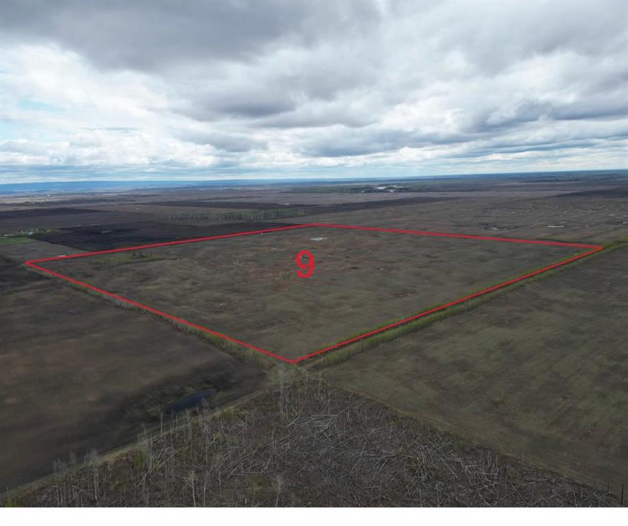 Second View of  SW-11-104-19-W5  , NONE, Rural Mackenzie County, Alberta, T0H2H0
