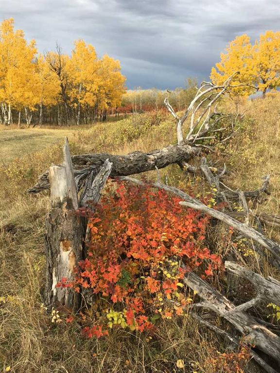 Fourth View of  96 Street W, NONE, Rural Foothills County, Alberta, T1S 0V1