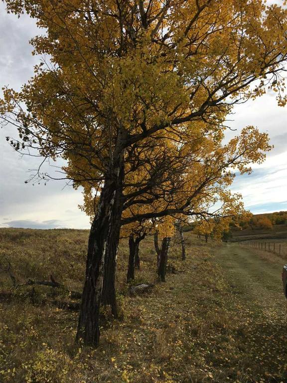 Fifth View of  96 Street W, NONE, Rural Foothills County, Alberta, T1S 0V1