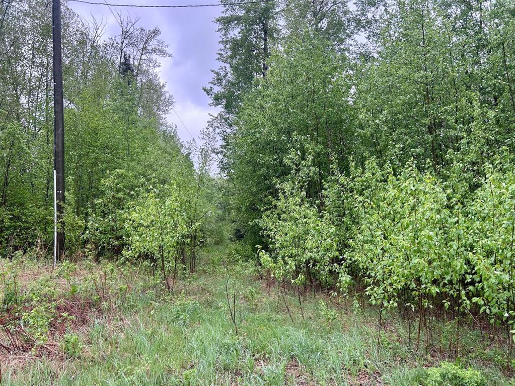 122, 67458 McGrane Rd  , A2316525, Alberta,