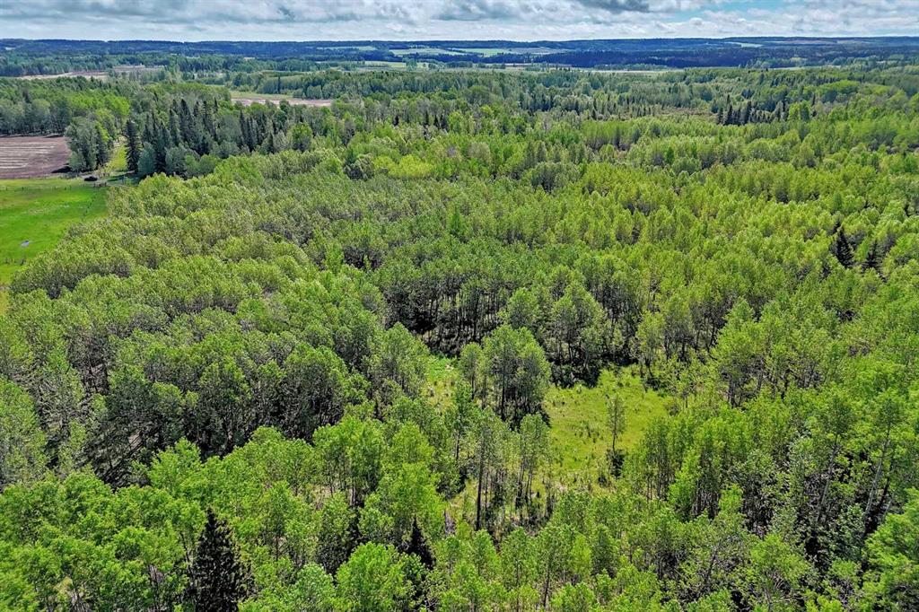 Fifth View of 5401 Township Road 312  , NONE, Rural Mountain View County, Alberta, T0M 1X0