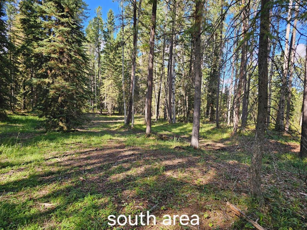  Pine Ridge Alley , A2317022, Alberta,