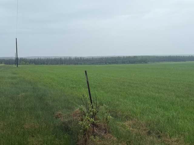 694009 44 Highway , A2317072, Alberta,