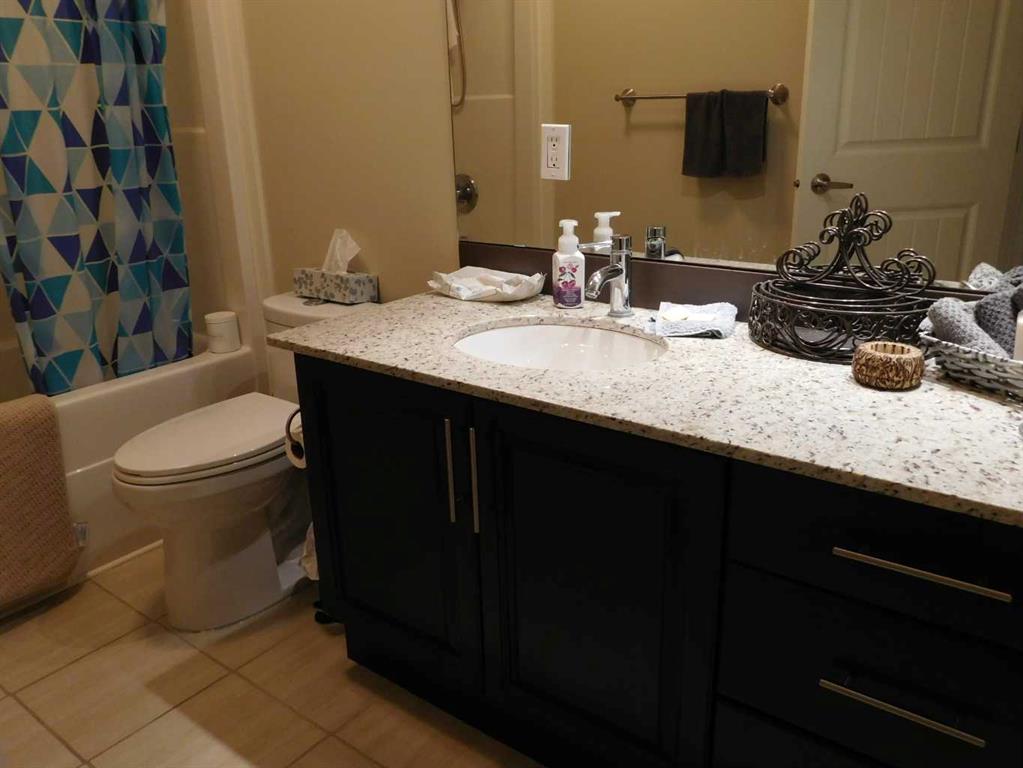 Fifth View of 203, 5901 71 Avenue , NONE, Rocky Mountain House, Alberta, T4T0B3