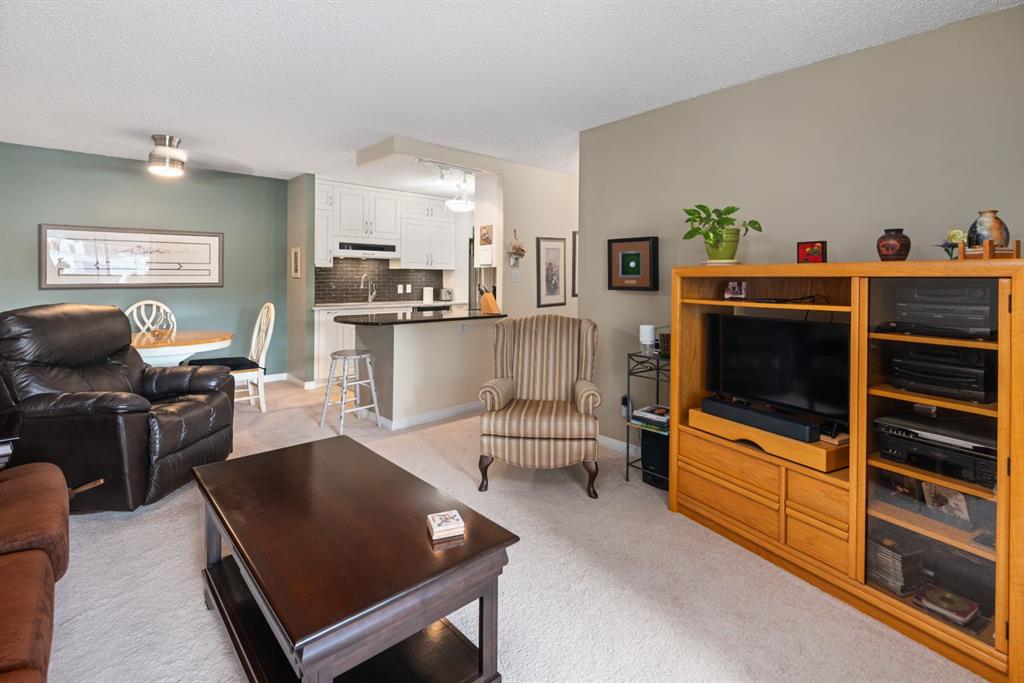 Fifth View of 210, 111 14 Avenue SE, Beltline, Calgary, Alberta, T2G4Z8