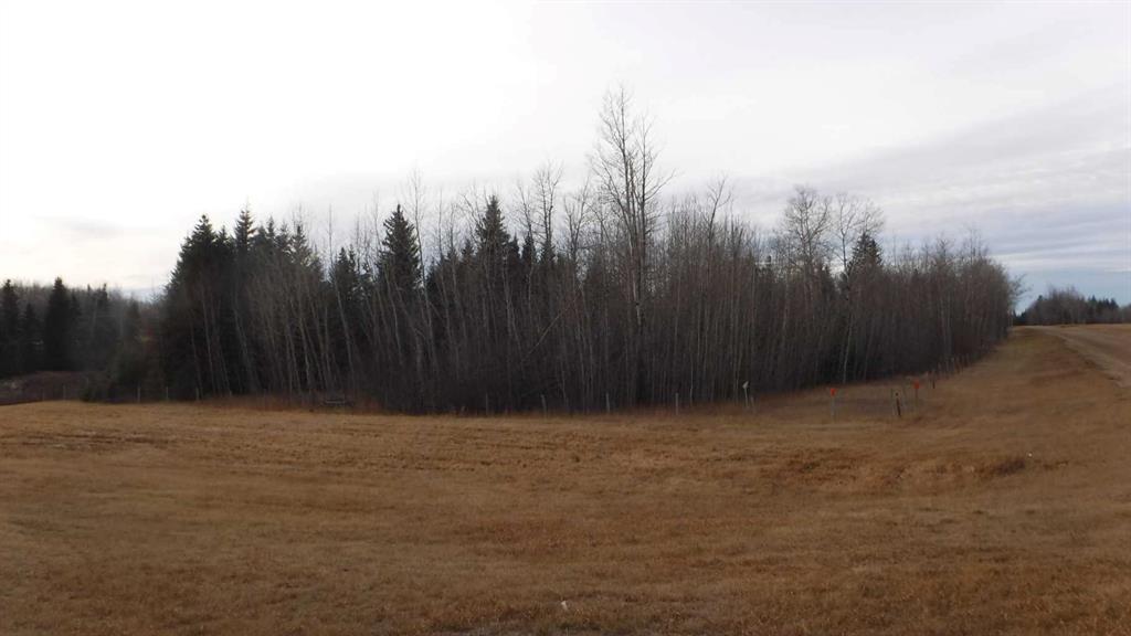 Fifth View of  Highway 43  , NONE, Rural Greenview No. 16, M.D. of, Alberta, T0H 3N0