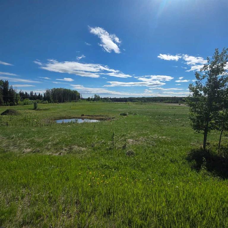 MLS® listing #111876866 for sale located at Lot 4 Range Road 175  