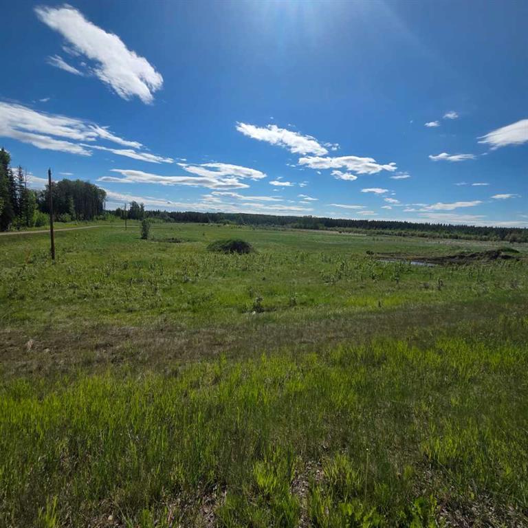 Third View of Lot 4 Range Road 175  , NONE, Rural Yellowhead County, Alberta, T7E 3L7