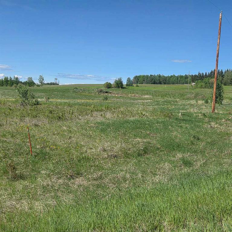 Fourth View of Lot 4 Range Road 175  , NONE, Rural Yellowhead County, Alberta, T7E 3L7