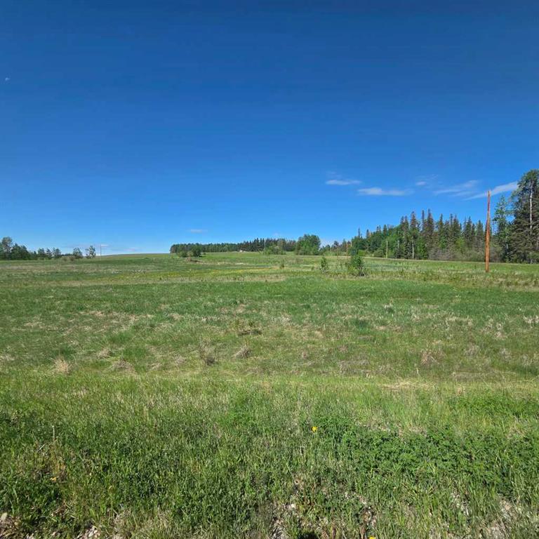Fifth View of Lot 4 Range Road 175  , NONE, Rural Yellowhead County, Alberta, T7E 3L7