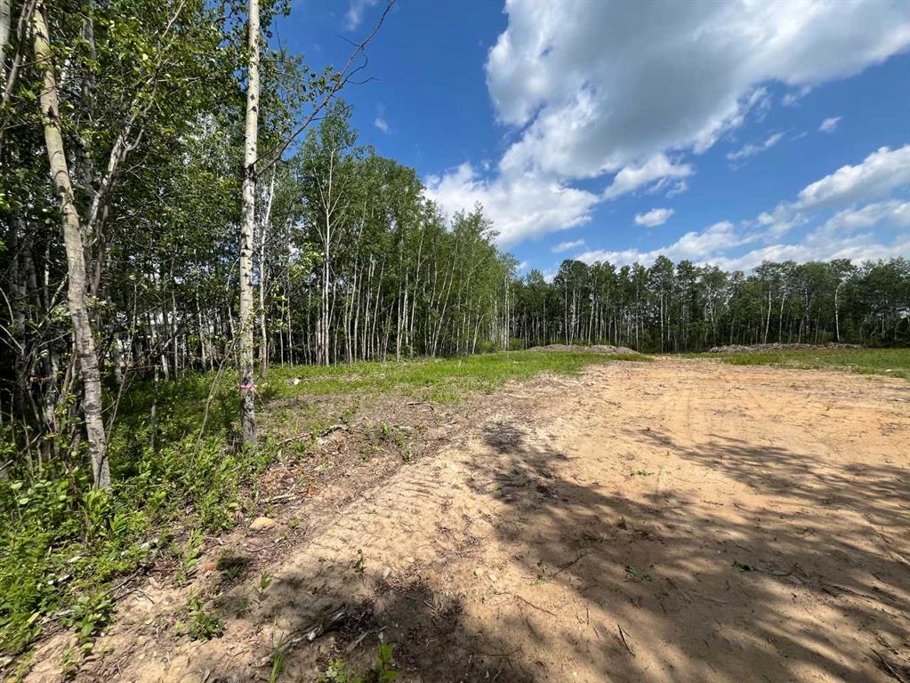 Second View of 110 Tawatinaw Drive , NONE, Athabasca, Alberta, T9S 1C4
