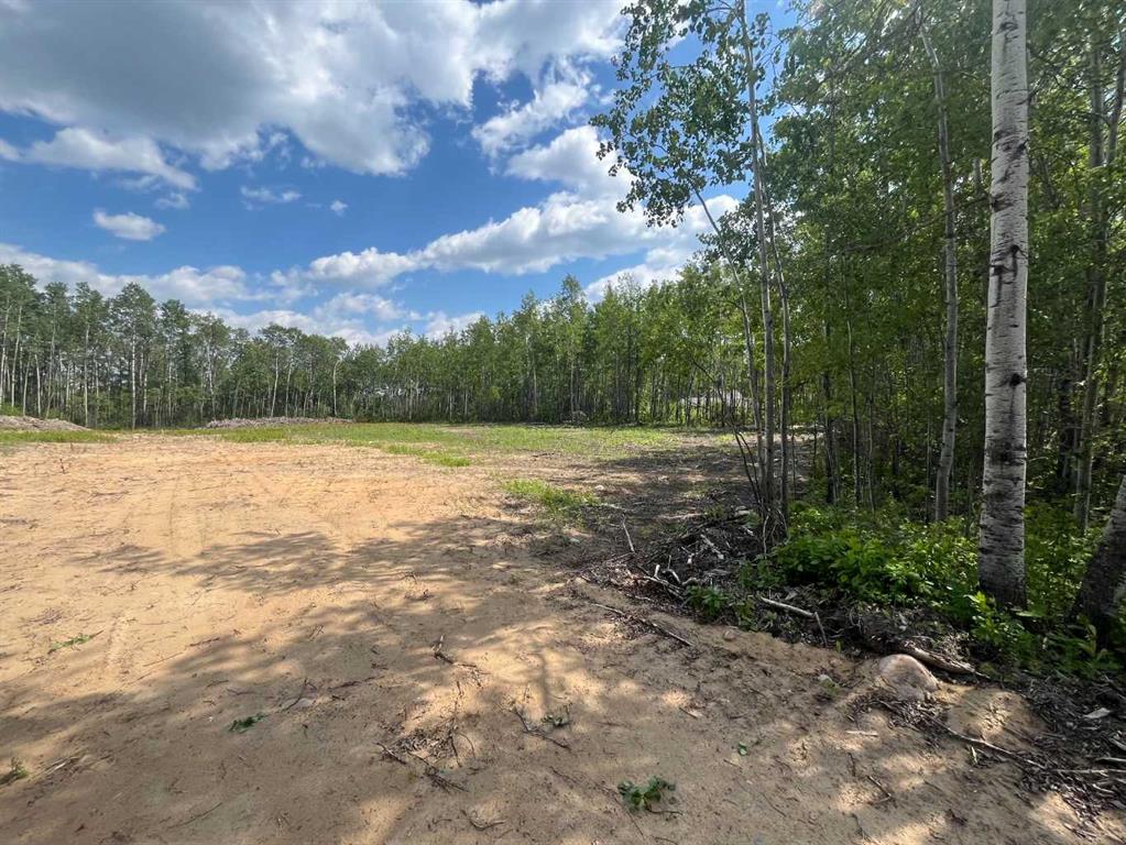 Third View of 110 Tawatinaw Drive , NONE, Athabasca, Alberta, T9S 1C4