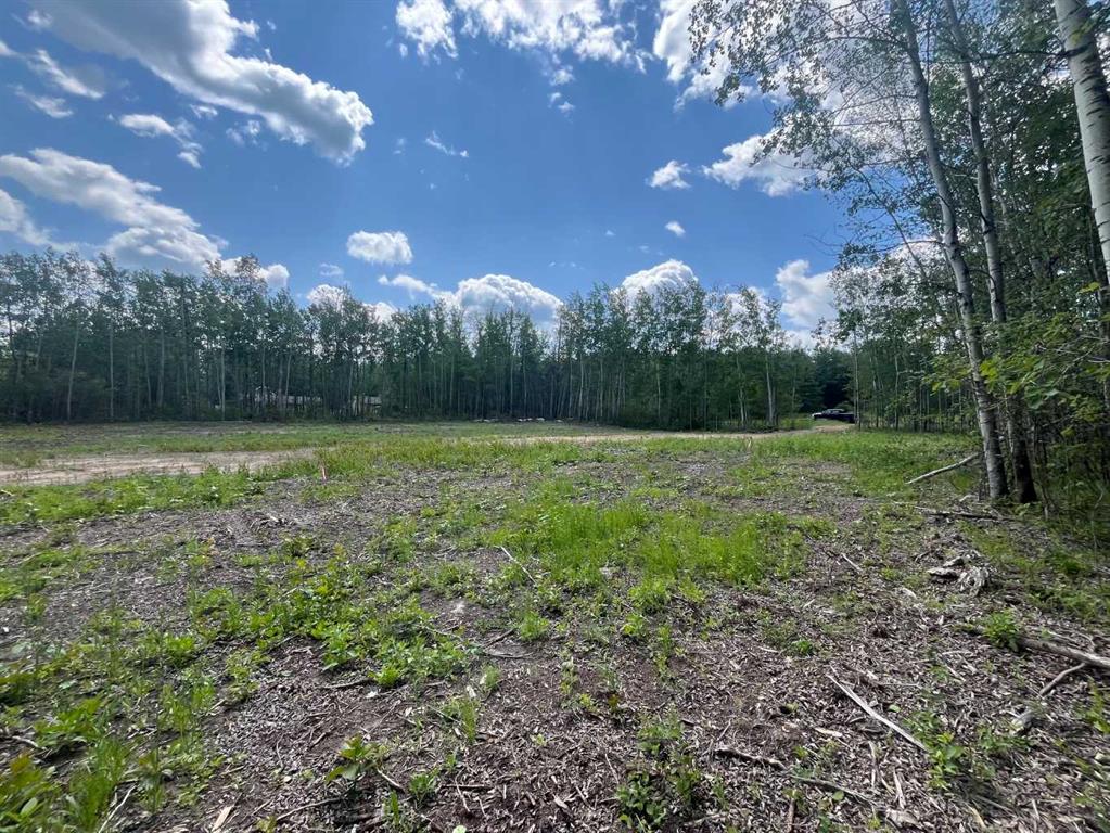 Fourth View of 110 Tawatinaw Drive , NONE, Athabasca, Alberta, T9S 1C4