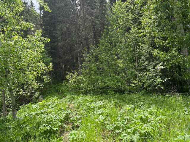 Third View of 229 Mountain Lion Drive , Wintergreen_BC, Bragg Creek, Alberta, T0L 0K0
